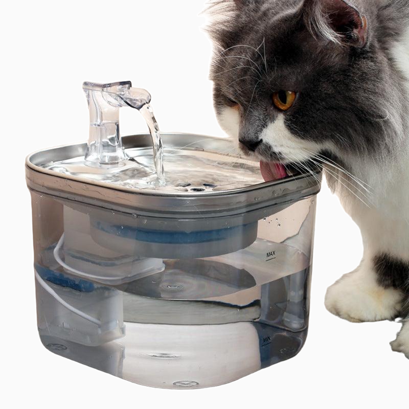 Stainless Steel Automatic Pet Water Dispenser for Cats and Dogs 2L-1