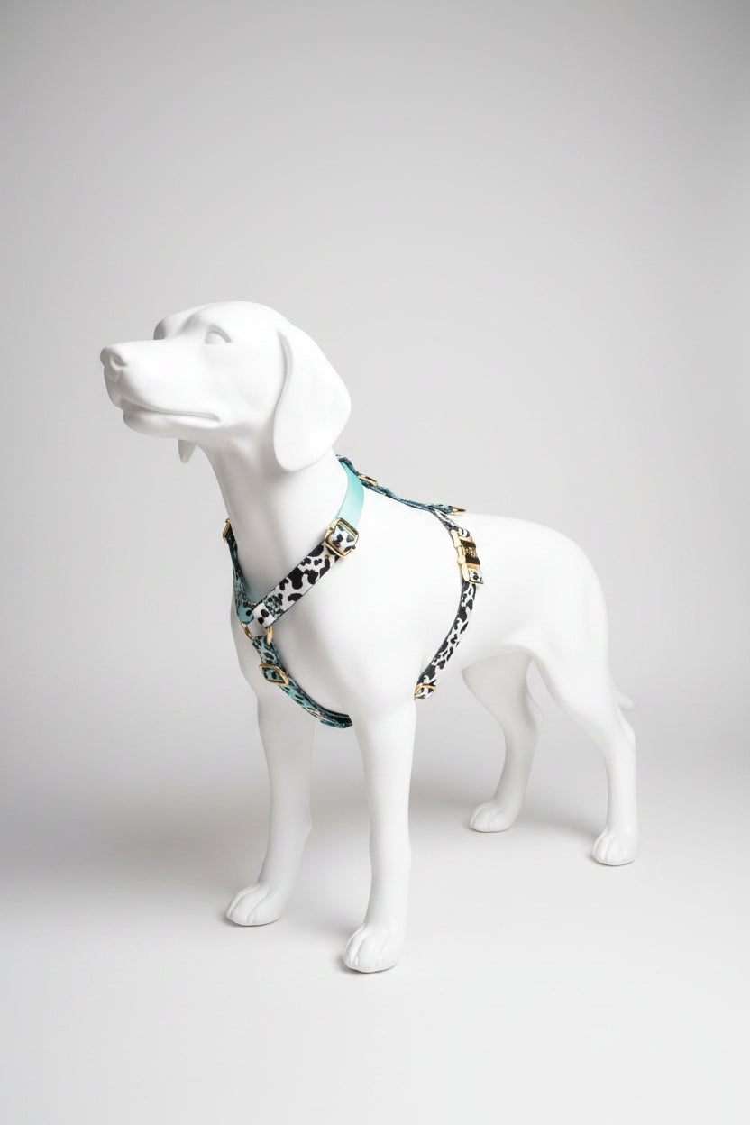 Hundegeschirr Aqua-Camo-2