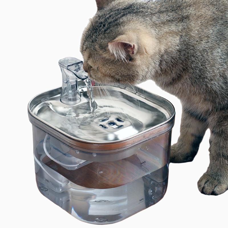 Stainless Steel Automatic Pet Water Dispenser for Cats and Dogs 2L-2